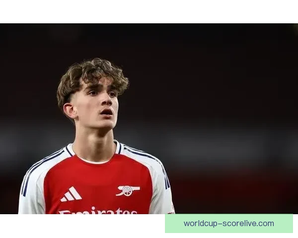 阿森纳半场落后南安普顿本怀特失误助攻斯图尔特破门